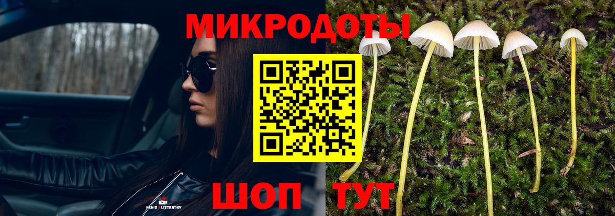Улан-Удэ  Галлюциногенные грибы MAGIC MUSHROOMS  Галлюциногенные грибы GOLDEN TEACHER  Вход с VPN 